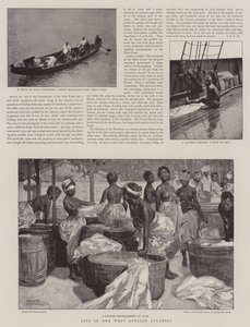 Life in our West African Colonies